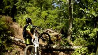 Watch Shaggy Way Back Home video