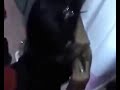 image Ngintip Nikita Mirzani Ganti Baju Bener Ga Sih