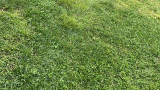 U0t9KLY6dRI Video Image