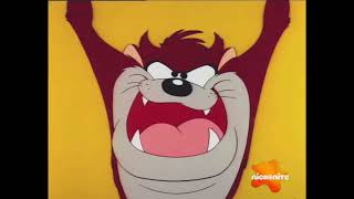 If Taz-Mania Was On Nick