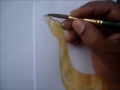 How To Draw Camel In Watercolor images How To Draw Camel In Watercolor