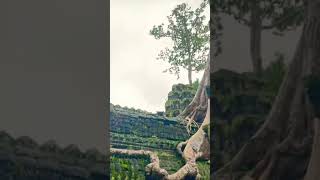 បរសទបរណតពរហមបនទបភលងរច