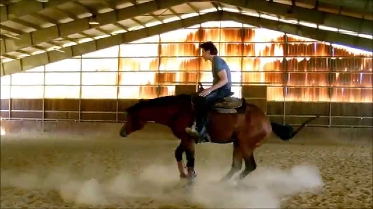 cavallo quarter horses reining YouTube