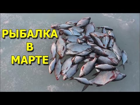 мартовская рыбалка мартовская рыбалка