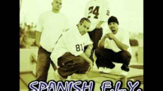 Watch Spanish Fly Burning Down The House video