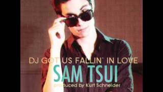 Watch Sam Tsui Dj Got Us Fallin In Love video