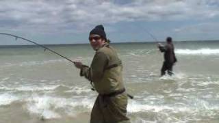 Topwater Bluefish Doubleheader-Island Beach State Park 5-10