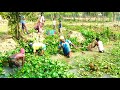 sylhet