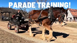 Parade Practice For Our Rescued Clydesdale!