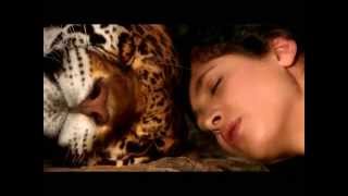 Watch Katie Melua Tiger In The Night video