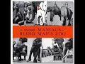 10000 Maniacs - Blind Man's Zoo (Full Album)
