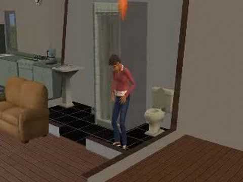 Sims 2 Gender Preference Cheat