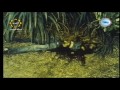 فيلم وثائقي عن التحقيق في جرائم القتل ـ اغتصاب وقتل اكثر من 20 فتاة من مجرم واحد