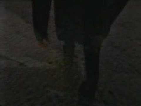 Roxette: Queen Of Rain