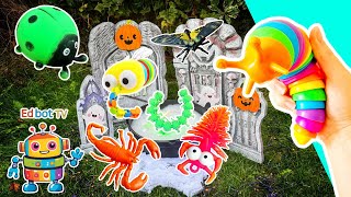 Trick Or Treat Learn Bug Insect Names At The Halloween Cauldron Slug Erfly Ladybug