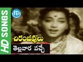 Chiranjeevulu Movie Songs - Tellavara Vache Song || N.T. R, Jamuna, Gummadi