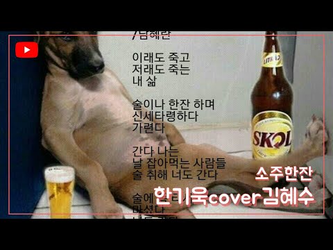 소주한잔(한기욱) - COVER 김혜수