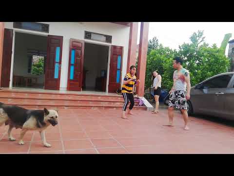 Con gái giỏi võ đáng yêu thế này chứ