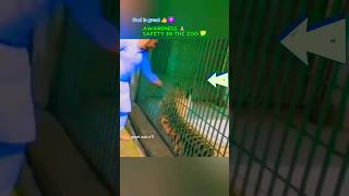 Awareness Safety In The Zoo