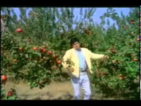 Old Hindi Movie Songs Part 173.