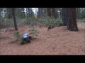 Ground Pounder #1 Monster Truck Bash in the woods RC running video