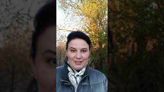 Как сделать карантин интересным