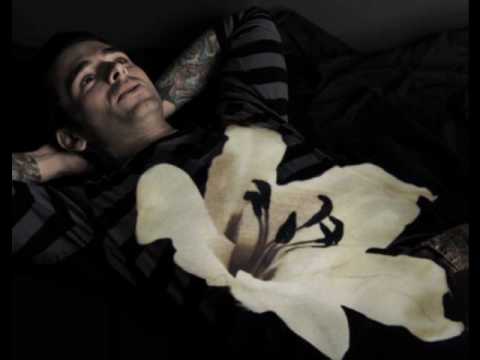 Dashboard Confessional - What I wanted to say was