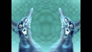 Preview 2 Numa Cat Effects 3 In Zoopals Effect V3 G Major