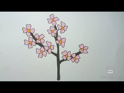 cara menggambar bunga sakura dengan mudah