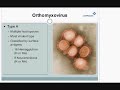 What is Influenza - Part 1