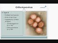 What is Influenza - Part 1