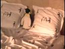 Lyle Lovett: Penguins