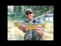 Yellowstone National Park, Wyoming, Cutthroat Trout, Fly Fishing 2014