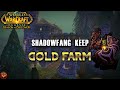 Classic WoW SoD - Phase 2 Shaman Solo SFK Farm - 120+ mobs 12min 48g/hr (TALENTS IN COMMENTS)