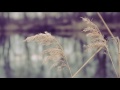 Your Man Video preview