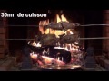 Cailles et pigeons au tourne broche électrique - youtube