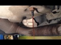 transmission pressure solenoid