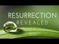 Resurrection On Abc Full Discussion Torn Apart And Season 2 ...