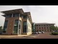 Robson Taylor Company Film