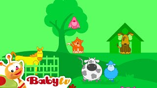 Animal Sounds 🐓 🐎 🐣  Animals for Toddlers | Farm Animals | Preschool Videos @BabyTV