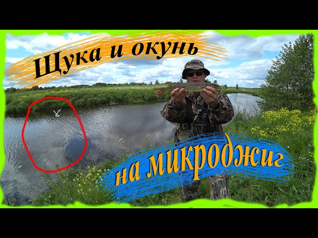 Щука и окунь на микроджиг