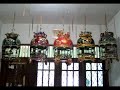 image Perkutut Dragon Bf Picanto 179