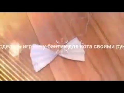 Как сделать бантик для кота 681