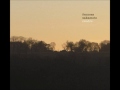 Fennesz + Sakamoto - Cendre (Full Album)