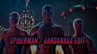Spider-Man // Gandanaga // EDİTT
