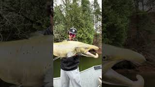 Mive Caught On Our Pinland Fishing Rod.