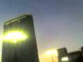 stormo di uccelli sul pirellone milano video