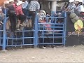 entrega de reconocimientos 2014-bailes y jaripeos potocinos