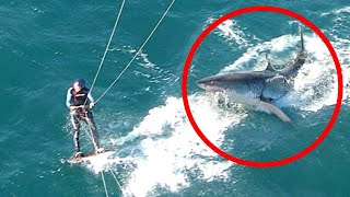 Bir Anda Gerçekleşen 15 Köpekbalığı Saldırısı