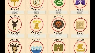פרשת במדבר ומי הלגיון הנבחר של השם יתברך בדורינו מהרב אפרים כחלון?